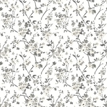 Glinda Black &amp; White Floral Trail Wallpaper