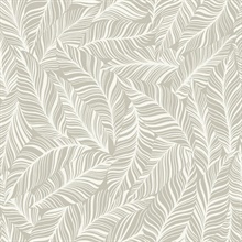 Glint Rainforest Canopy Tropical Leaves Wallpaper