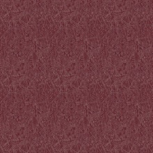 Gobi Blaze Red