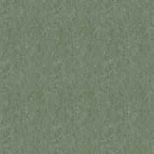 Gobi Sage Green