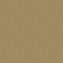 Gold Allen Texture