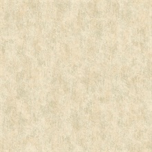 Gold on Silver Shimmering Patina Texture Wallpaper