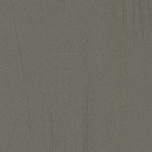 Graphite Stockroom Faux Plaster Texture Wallpaper