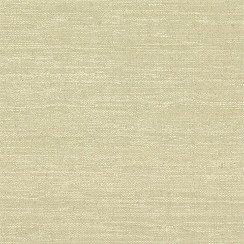 Grasscloth Cork Texture