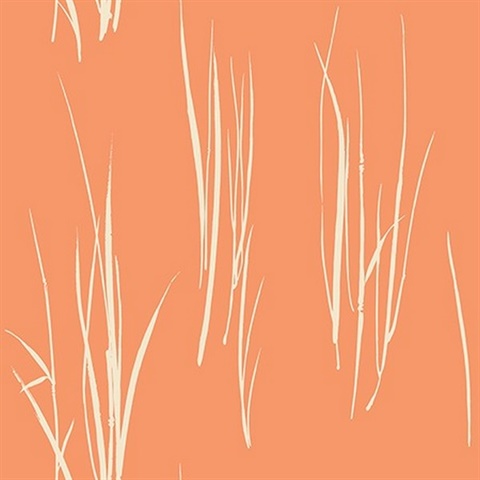 Grasses