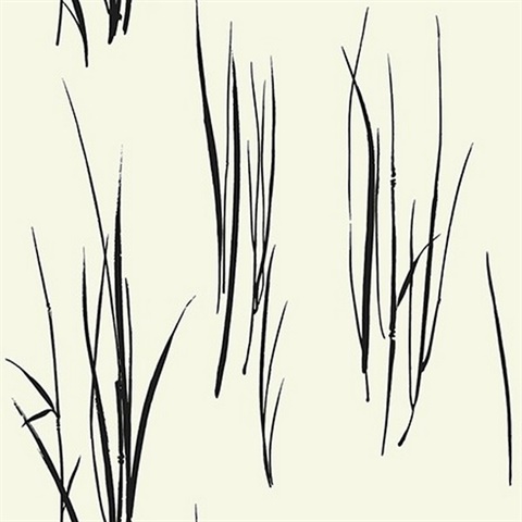 Grasses