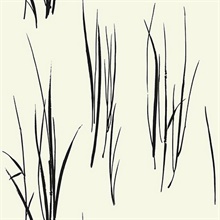 Grasses