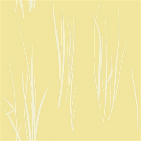 Grasses