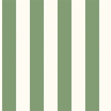 Green Just Kitchens Traditional Awning Stripe Wallpaper