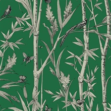 Green Bambou Toile Wallpaper