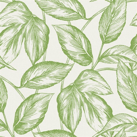 Green Beckett Sketched Leaves Wallpaper