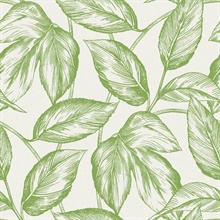 Green Beckett Sketched Leaves Wallpaper