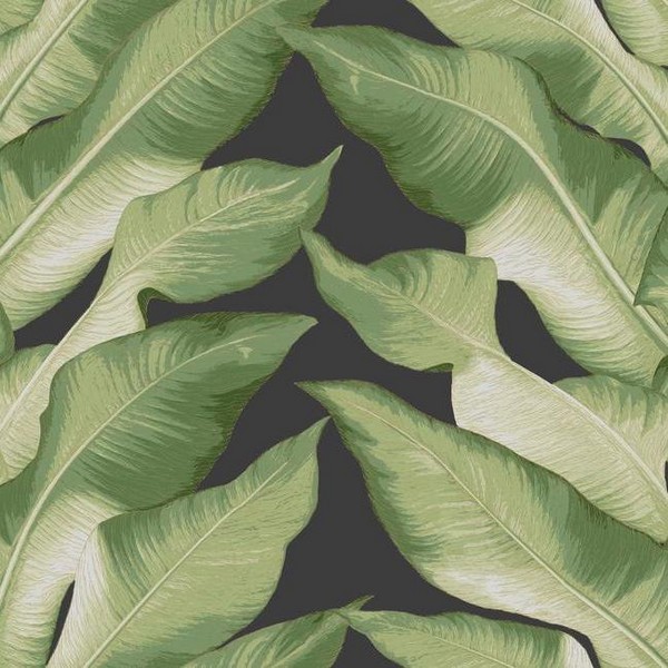 NV5540 | Green Black & Gold Beverly Hills Large Banana Leaf Wallpaper