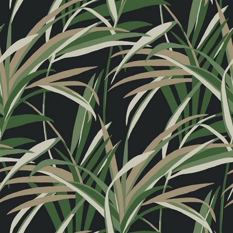 Green &amp; Black Tropical Paradise Windy Reeds Wallpaper