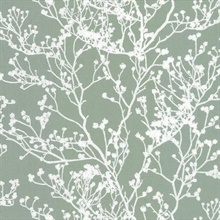 Green Budding Tree Branch Silhouette Wallpaper