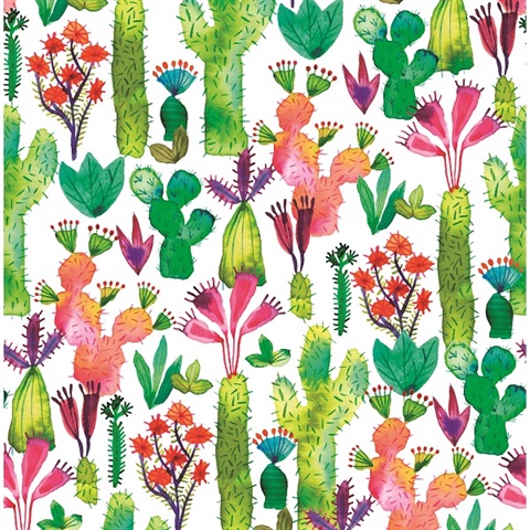 Green Cactus Garden Wallpaper