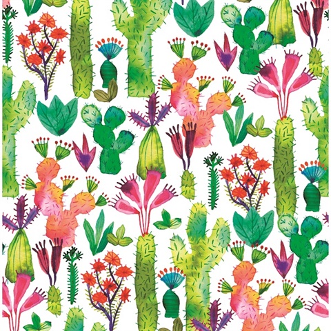 Cute Cactus Wallpaper by Love vs Design