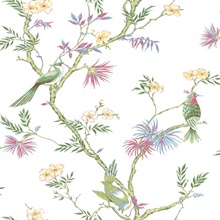 Green Classic Bird &amp; Branches Trail Wallpaper