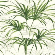 Green Commercial Open Palm Leaf Wallpaper
