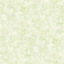 Green Commercial Waterdrop Faux Wallpaper