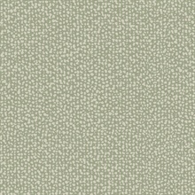 Green Galaxies Modern Speckled Spots Wallpaper