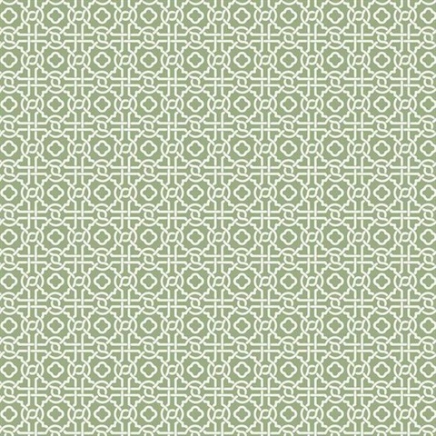 Green Geometric Pergola Lattice Prepasted Wallpaper