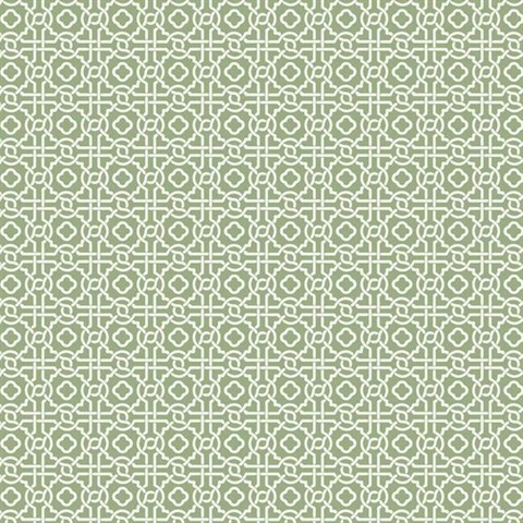 Green Geometric Pergola Lattice Prepasted Wallpaper