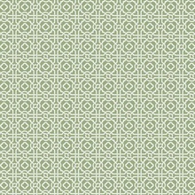 Green Geometric Pergola Lattice Prepasted Wallpaper