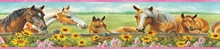 Green Harmony Pink Horses Sunflowers Portrait Border