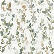 Green Joyful Eucalyptus Watercolor Leaf  Wallpaper