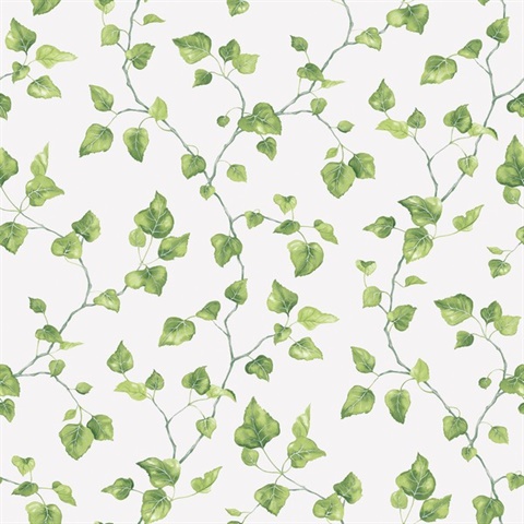 Green Just Ivy Leaf Leaf Wallpaper