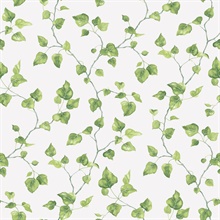 Green Just Ivy Leaf Leaf Wallpaper