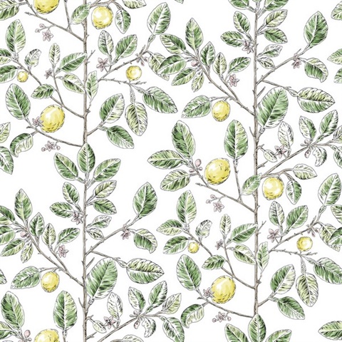 Green Lemon Tree Toile Wallpaper