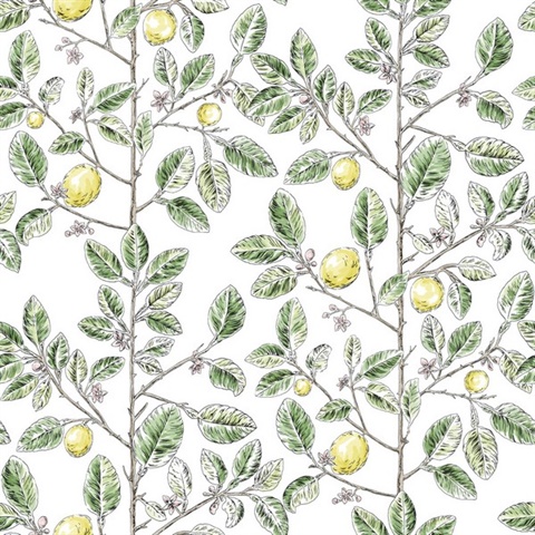 Green Lemon Tree Toile Wallpaper