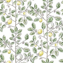 Green Lemon Tree Toile Wallpaper