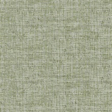 Green Papyrus Weave Peel and Stick Wallpaper