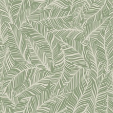 Green Rainforest Canopy Tropical Leaves Wallpaper