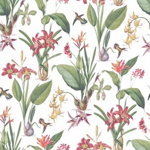 Green & Red Cottage Illustrated Botanical Floral & Hummingbird Wallpap