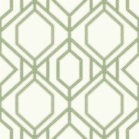 Green Sawgrass Trellis Geometric Hexagon Wallpaper