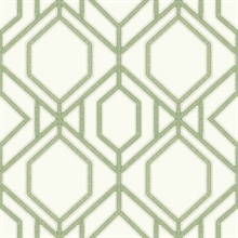 Green Sawgrass Trellis Geometric Hexagon Wallpaper