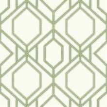 Green Sawgrass Trellis Geometric Hexagon Wallpaper
