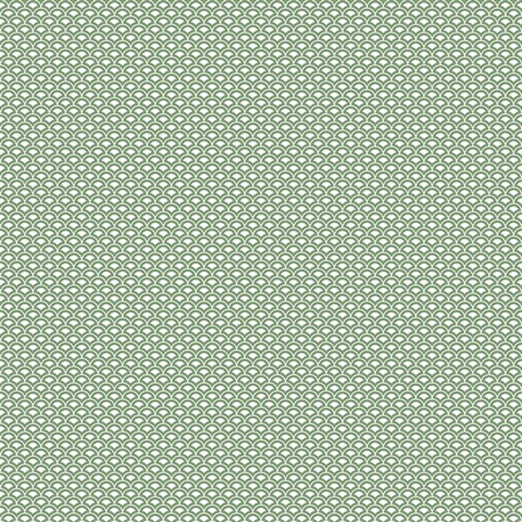 Green Small Shell Top Scallop Wallpaper