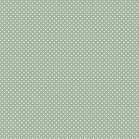 Green Small Shell Top Scallop Wallpaper
