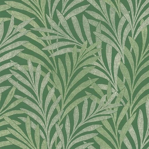 Green Tea Leaves Wallpaper
