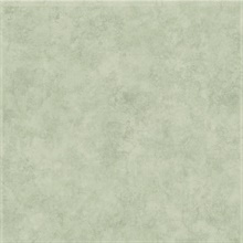 Green Villa Texture