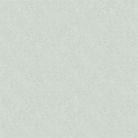 Green & White Champagne Metallic Polka Dots Rifle Paper Wallpaper