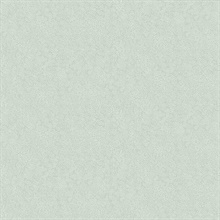 Green & White Champagne Metallic Polka Dots Rifle Paper Wallpaper