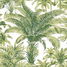 Green & White Charleston Palm Tree Wallpaper