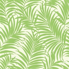 Green & White Commercial Tropical Palm Leaves Wallpaper