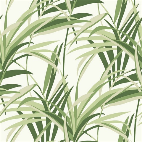 Green &amp; White Tropical Paradise Windy Reeds Wallpaper